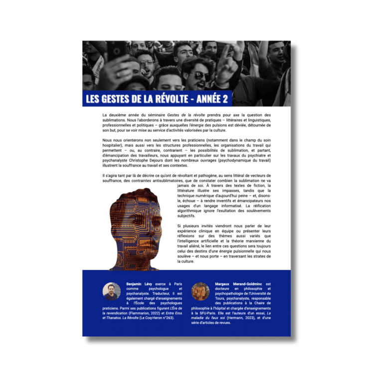 Programme Les gestes de la révolte année 2